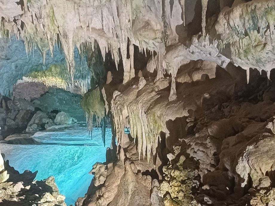 מוזיאונים - יקבים - עתיקות - תרבות בהתאמה אישית